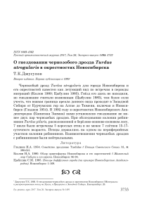 О гнездовании чернозобого дрозда Turdus atrogularis в окрестностях Новосибирска