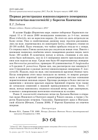 Первая регистрация южнополярного поморника Stercorarius maccormicki у берегов Камчатки