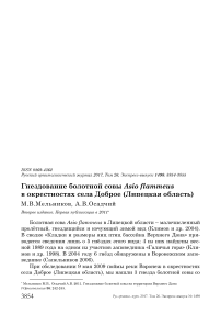 Гнездование болотной совы Asio flammeus в окрестностях села Доброе (Липецкая область)