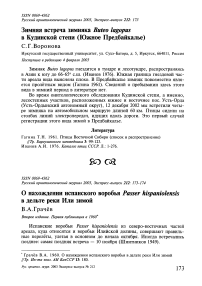 О нахождении испанского воробья Passer hispaniolensis в дельте реки Или зимой