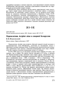 Перепелятник Accipiter nisus в Северной Белоруссии