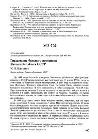 Гнездование большого поморника Stercorarius skua в СССР