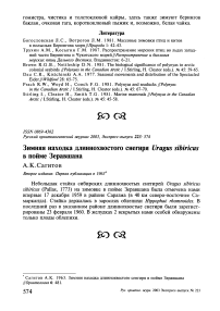 Зимняя находка длиннохвостого снегиря Uragus sibiricus в пойме Зеравшана