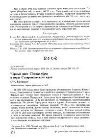 Чёрный аист Ciconia nigra в горах Ставропольского края