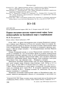 Первая гнездовая находка черноголовой чайки Larus melanocephalus на Каспийском море в Азербайджане