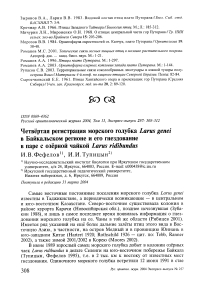 Четвёртая регистрация морского голубка Larus genei в Байкальском регионе и его гнездование в паре с озёрной чайкой Larus ridibundus