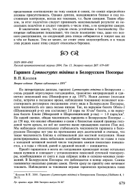 Гаршнеп Lymnocryptes minimus в Белорусском Поозерье