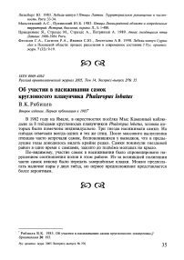 Об участии в насиживании самок круглоносого плавунчика Phalaropus lobatus