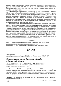 О гнездовании гоголя Bucephala clangula в Рязанской области