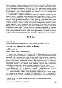 Малая гага Polysticta stelleri в Литве
