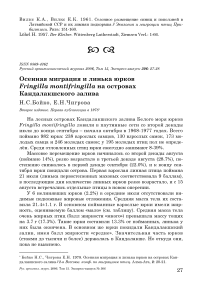 Осенняя миграция и линька юрков Fringilla montifringilla на островах Кандалакшского залива