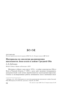 Материалы по экологии размножения шилохвости Anas acuta в пойме Средней Оби