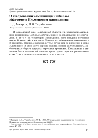 О гнездовании камышницы Gallinula chloropus в Ильменском заповеднике