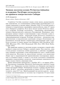 Зимняя экология кукши Perisoreus infaustus и кедровки Nucifraga caryocatactes на крайнем северо-востоке Сибири