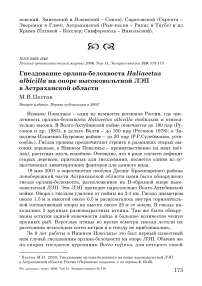 Гнездование орлана-белохвоста Haliaeetus albicilla на опоре высоковольтной ЛЭП в Астраханской области