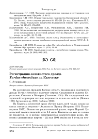 Регистрация золотистого дрозда Turdus chrysolaus на Камчатке