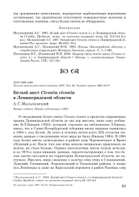 Белый аист Ciconia ciconia в Ленинградской области