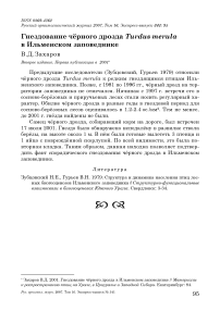 Гнездование чёрного дрозда Turdus merula в Ильменском заповеднике