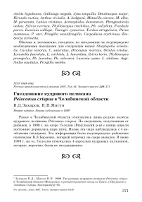 Гнездование кудрявого пеликана Pelecanus crispus в Челябинской области