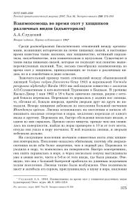 Взаимопомощь во время охот у хищников различных видов (адъюторизм)