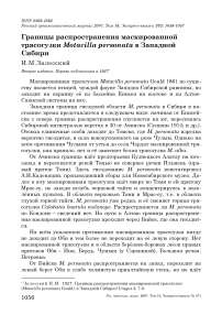 Границы распространения маскированной трясогузки Motacilla personata в Западной Сибири