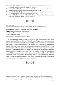 Зимовка серых гусей Anser anser в Оренбургской области