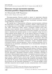 Находка гнезда погоныша-крошки Porzana pusilla в Харьковской области