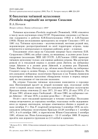 К биологии таёжной мухоловки Ficedula mugimahi на острове Сахалин