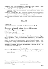 Колония озёрной чайки Larus ridibundus на Нейво-Рудянском пруду