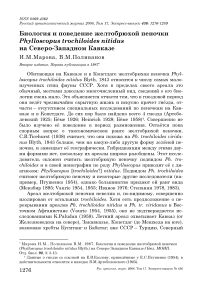 Биология и поведение желтобрюхой пеночки Phylloscopus trochiloides nitidus на Северо-Западном Кавказе