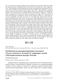Особенности распространения полевого Circus cyaneus и лугового C. pygargus луней в Нечерноземном центре России