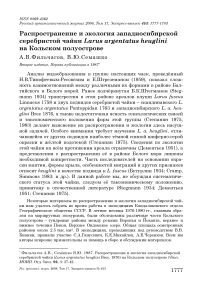 Распространение и экология западносибирской серебристой чайки Larus argentatus heuglini на Кольском полуострове