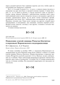 Появление усатой синицы Panurus biarmicus в верховьях Воронежского водохранилища