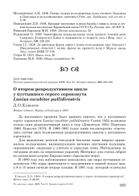 О втором репродуктивном цикле у пустынного серого сорокопута Lanius excubitor pallidirostris