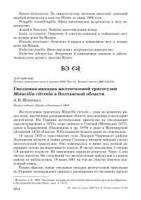 Гнездовая находка желтоголовой трясогузки Motacilla citreola в Полтавской области