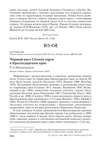 Чёрный аист Ciconia nigra в Краснодарском крае