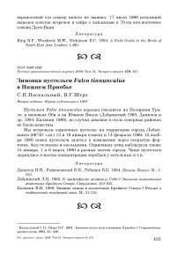 Зимовка пустельги Falco tinnunculus в Нижнем Приобье