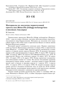 Материалы по экологии черноголовой трясогузки Motacilla feldegg melanogrisea в низовьях Амударьи