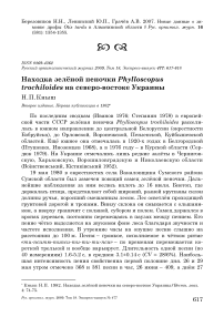 Находка зелёной пеночки Phylloscopus trochiloides на северо-востоке Украины