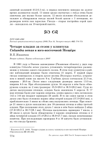 Четыре кладки за сезон у клинтуха Columba oenas в юго-восточной Мещёре