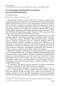 О токовании кавказских тетеревов Lyrurus mlokosiewiczi
