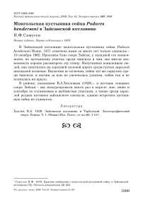 Монгольская пустынная сойка Podoces hendersoni в Зайсанской котловине