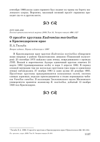 О пролёте хрустана Eudromias morinellus в Краснодарском крае