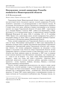 Нахождение лесной завирушки Prunella modularis в Нижегородской области