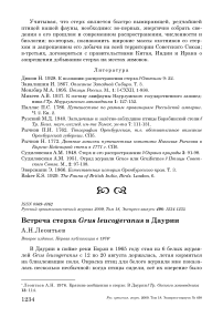 Встреча стерха Grus leucogeranus в Даурии