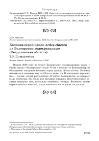 Колония серой цапли Ardea cinerea на Белоярском водохранилище (Свердловская область)