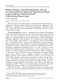 Новые данные о распространении змееяда Circaetus gallicus, бородача Gypaetus barbatus и орла-карлика Aquila pennata в Восточном Казахстане