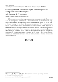 О гнездовании полевого луня Circus cyaneus в окрестностях Воркуты