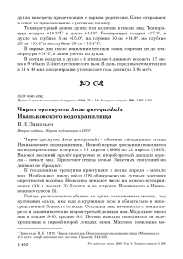 Чирок-трескунок Anas querquedula Иваньковского водохранилища