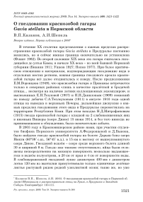 О гнездовании краснозобой гагары Gavia stellata в Пермской области